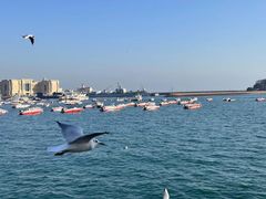 -青岛第三海水浴场
