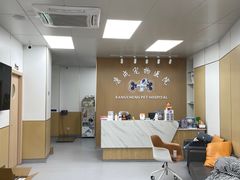 -康成宠物医院24H·CT·核磁共振