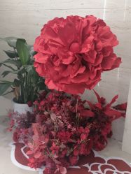 -比华利美容医院