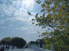 -海珠湖公园