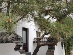 -新川办餐厅