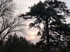 -香山公园