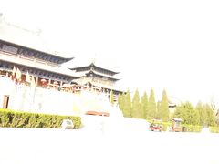 -大槐树寻根祭祖园