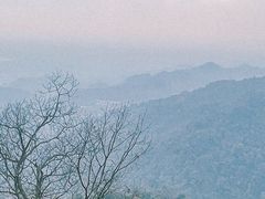 -青城山