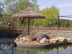 -沈阳森林动物园