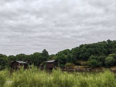 -宝岩生态观光园