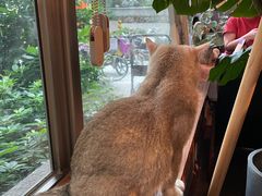 -咖法森林·咖啡  酒吧(天河店)