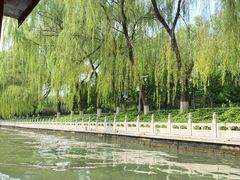 -皇家御河游(紫御湾码头)