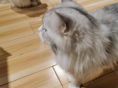 -听TA说宠咖·宠物生活馆(天韵水岸店)
