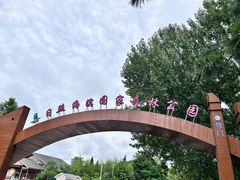 -日照海滨国家森林公园