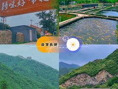 -天源渔港农庄