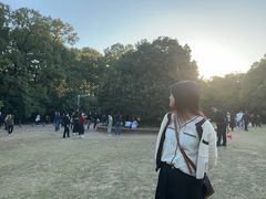 -灵谷景区