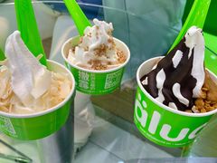 -Salud撒露欧洲冻酸奶(蓝色港湾店)