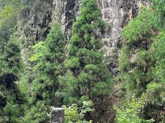 -刘伯温故里景区百丈漈