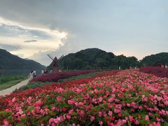 -广州市石门国家森林公园