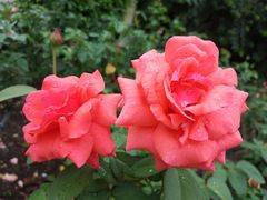 -人民公园(罗湖区)