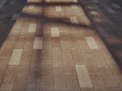 -新天地活力PARK