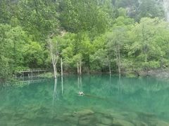 -叠溪松坪沟景区