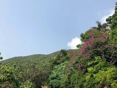 -东澳岛