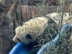 -石家庄市动物园