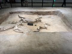 -洛阳周王城天子驾六博物馆