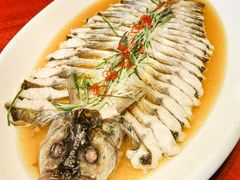 -老江南春·中国龙菜(衡山路店)