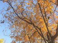 -中关村生命科学园