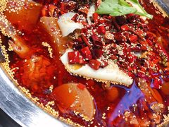 -晓彭肥肠鸡(茂业天地店)