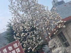 -西柏坡红色胜典景区