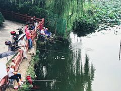 -新江湾城公园