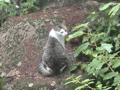 -崂山巨峰游览区