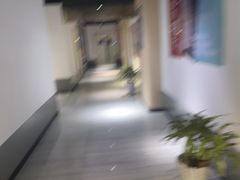 -汇乐游泳馆(莲花南路店)