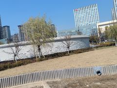 -金沙湖公园