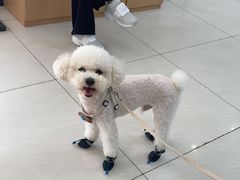 -美联众合动物医院·24h京西诊疗中心