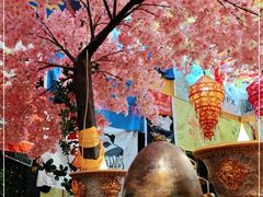 -吉祥圣雪藏餐