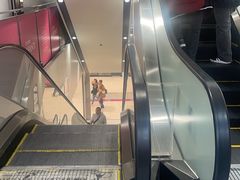 -Don Quijote(京都Avanti店)