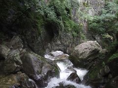 -牛背梁国家森林公园