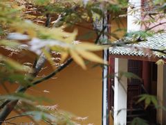 -天台山景区