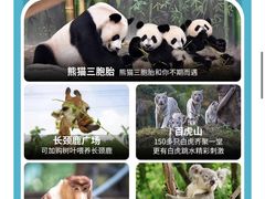 -广州长隆野生动物世界