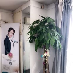 -臣丽纹眉品牌连锁