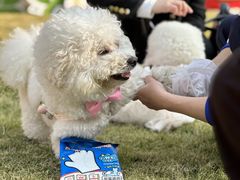 -上海神旺大酒店