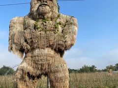 -西双版纳傣族园