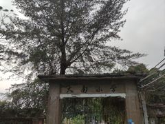 -伦教678文化街