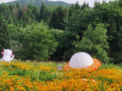 -武陵山森林公园