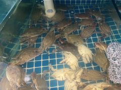 -蟹谢蒸鲜自助餐厅