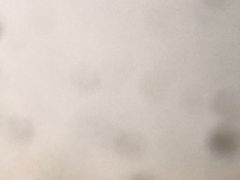 -毛辣果·贵州红酸汤牛肉火锅(西单店)