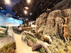 -陕西自然博物馆