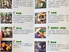 -太婆天府山珍酒楼(亚运村店)