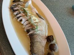 太湖白水鱼-蟹榭·本帮江浙菜·蟹宴(五角场合生汇商场店)