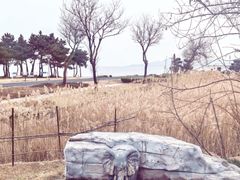 -青岛海泉湾度假区温泉